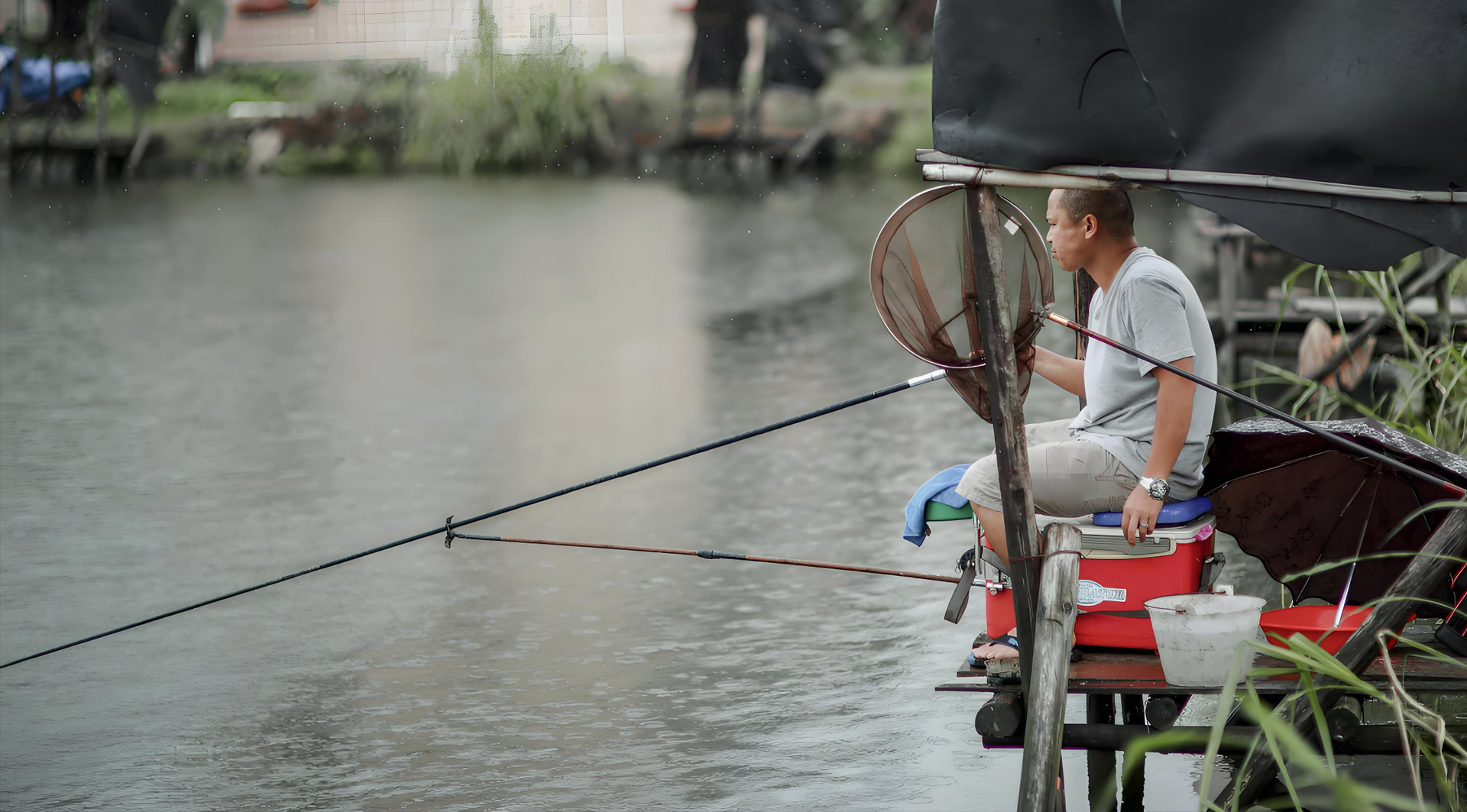 AI Artificial Intelligence